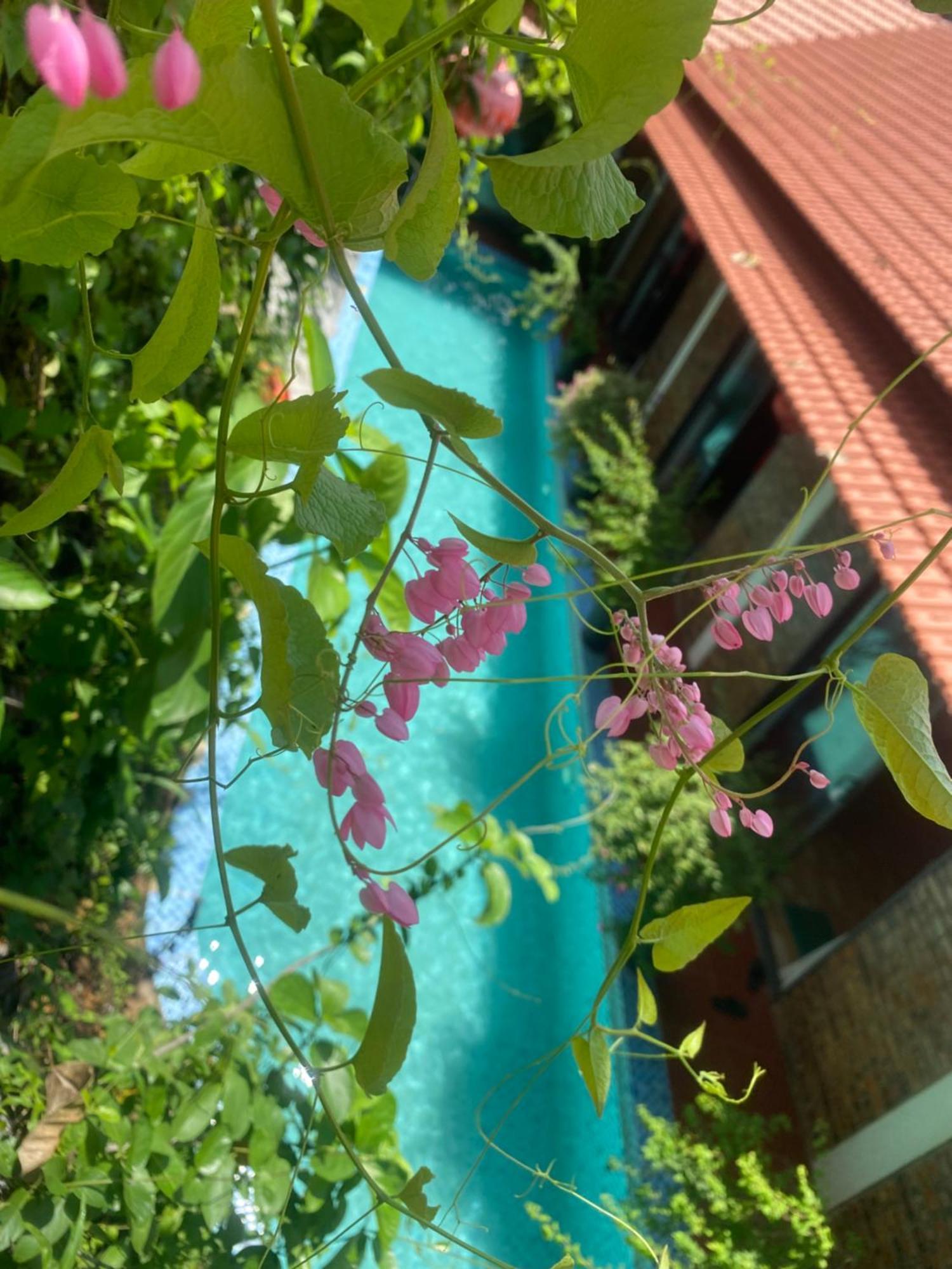 Sunshine Villa Thuy Bieu Hué Extérieur photo