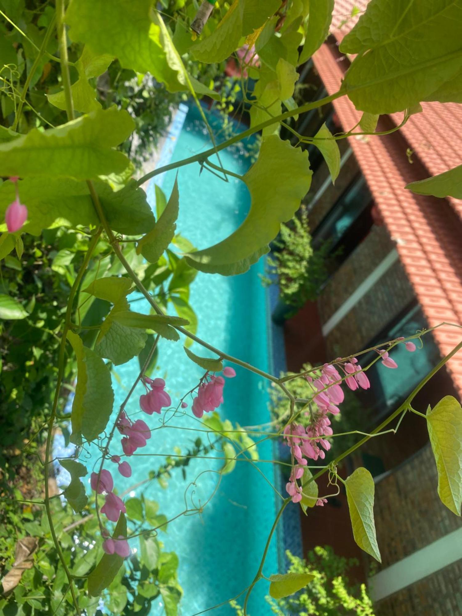 Sunshine Villa Thuy Bieu Hué Extérieur photo